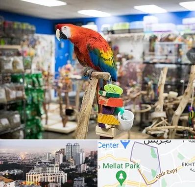 فروشگاه لوازم پرندگان در الهیه 
