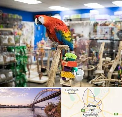فروشگاه لوازم پرندگان در اهواز