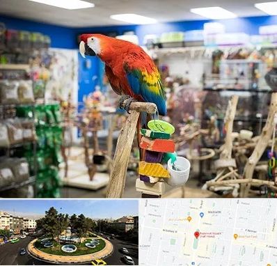 فروشگاه لوازم پرندگان در هفت حوض