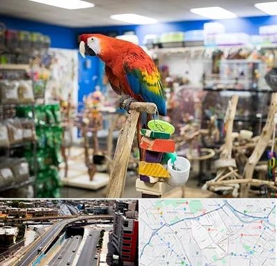 فروشگاه لوازم پرندگان در ستارخان شیراز