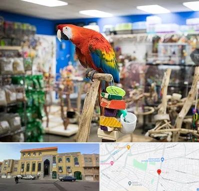 فروشگاه لوازم پرندگان در زنبیل آباد قم