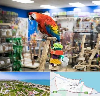 فروشگاه لوازم پرندگان در نوشهر