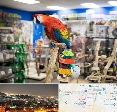 فروشگاه لوازم پرندگان در مارلیک کرج