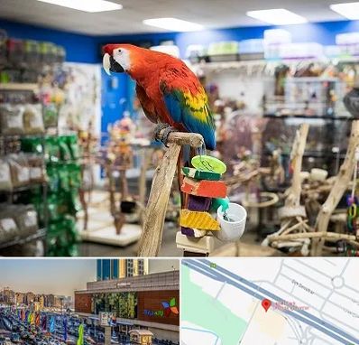 فروشگاه لوازم پرندگان در لاله پارک تبریز