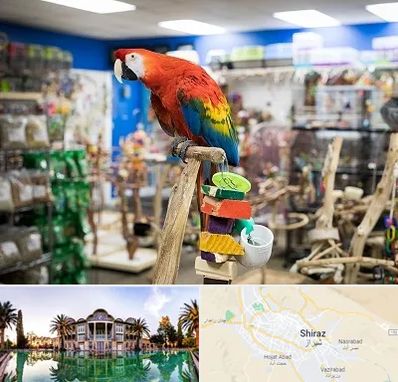 فروشگاه لوازم پرندگان در شیراز