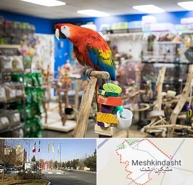 فروشگاه لوازم پرندگان در مشکین دشت