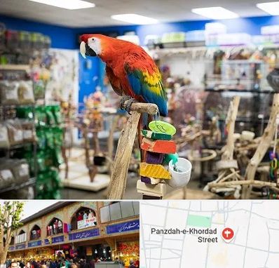 فروشگاه لوازم پرندگان در 15 خرداد