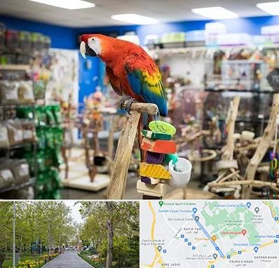 فروشگاه لوازم پرندگان در قدوسی غربی شیراز