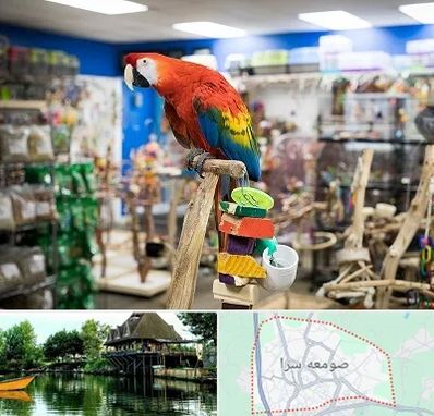 فروشگاه لوازم پرندگان در صومعه سرا