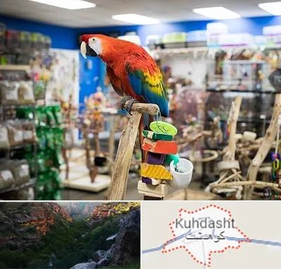 فروشگاه لوازم پرندگان در کوهدشت