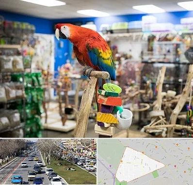 فروشگاه لوازم پرندگان در احمدآباد مشهد