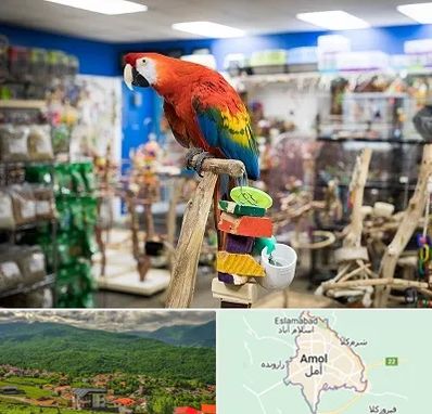 فروشگاه لوازم پرندگان در آمل