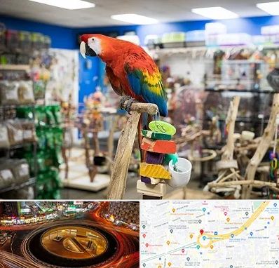 فروشگاه لوازم پرندگان در میدان ولیعصر