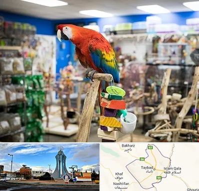 فروشگاه لوازم پرندگان در تایباد