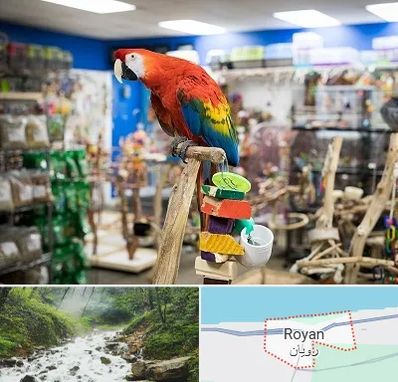 فروشگاه لوازم پرندگان در رویان