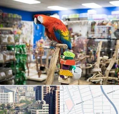 فروشگاه لوازم پرندگان در خیابان بهشتی