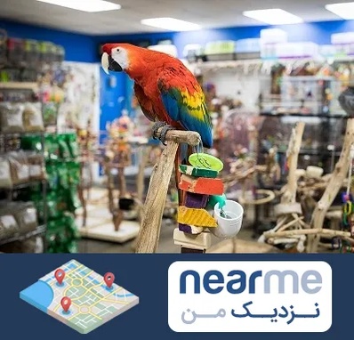 فروشگاه لوازم پرندگان در نزدیک من