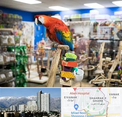 فروشگاه لوازم پرندگان در شهرک غرب 