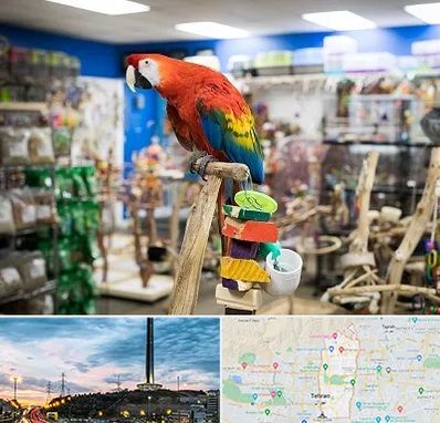 فروشگاه لوازم پرندگان در منطقه 2 تهران