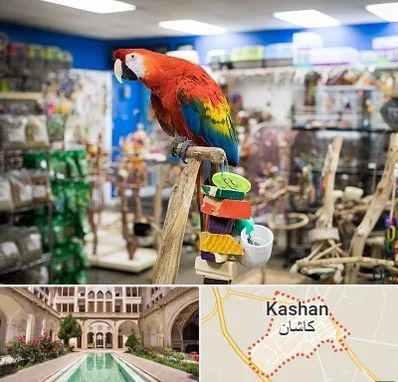 فروشگاه لوازم پرندگان در کاشان