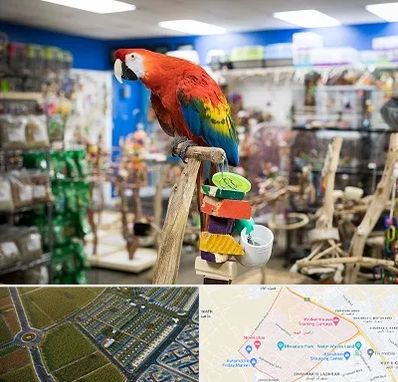 فروشگاه لوازم پرندگان در الهیه مشهد