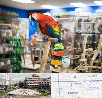 فروشگاه لوازم پرندگان در مرکز تهران