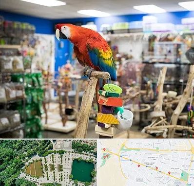 فروشگاه لوازم پرندگان در وکیل آباد مشهد