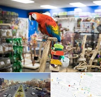 فروشگاه لوازم پرندگان در بلوار معلم مشهد