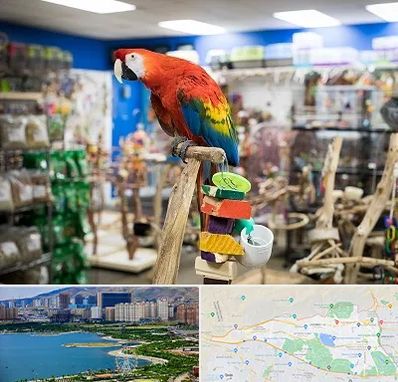 فروشگاه لوازم پرندگان در منطقه 22 تهران