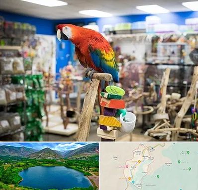 فروشگاه لوازم پرندگان در رودبار