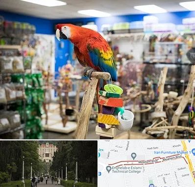 فروشگاه لوازم پرندگان در بلوار معلم رشت