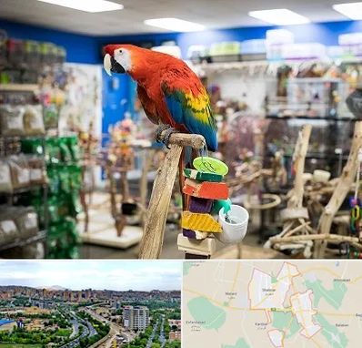 فروشگاه لوازم پرندگان در شهریار