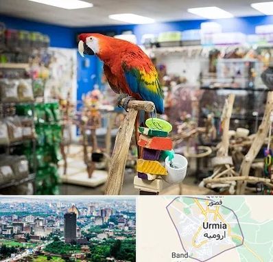 فروشگاه لوازم پرندگان در ارومیه