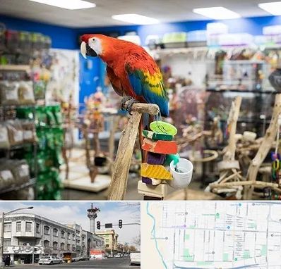 فروشگاه لوازم پرندگان در 17شهریور