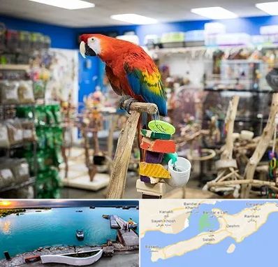 فروشگاه لوازم پرندگان در قشم