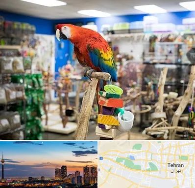 فروشگاه لوازم پرندگان در غرب تهران 