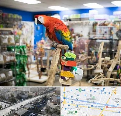 فروشگاه لوازم پرندگان در فرجام