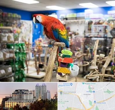 فروشگاه لوازم پرندگان در فرشته 