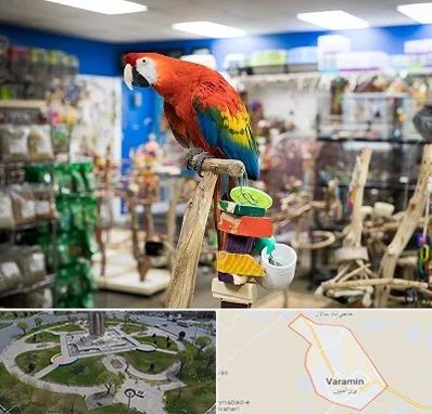 فروشگاه لوازم پرندگان در ورامین