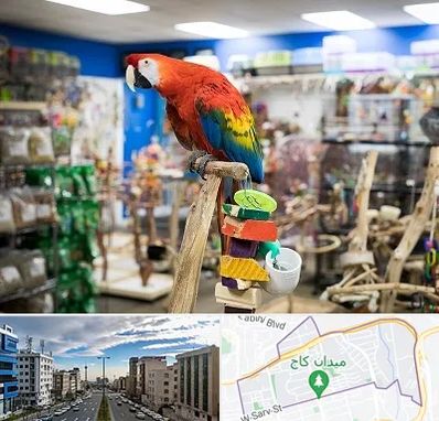 فروشگاه لوازم پرندگان در سعادت آباد 