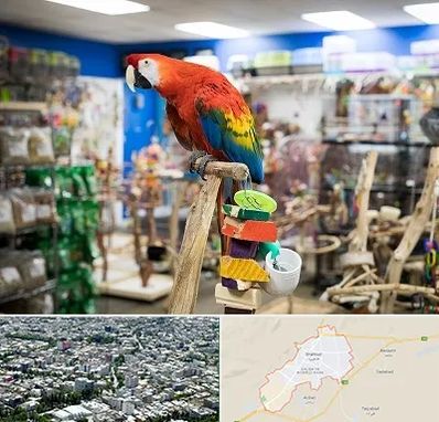 فروشگاه لوازم پرندگان در شاهرود