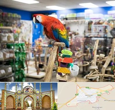 فروشگاه لوازم پرندگان در سمنان