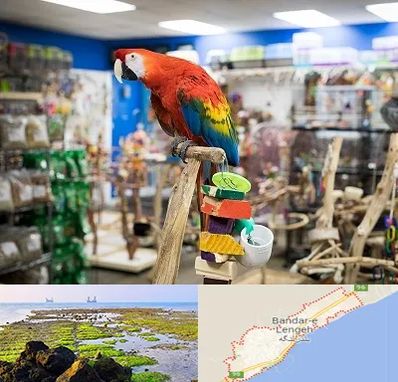 فروشگاه لوازم پرندگان در بندرلنگه