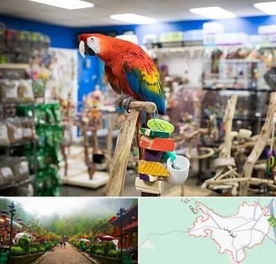 فروشگاه لوازم پرندگان در فومن