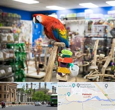 فروشگاه لوازم پرندگان در پاکدشت