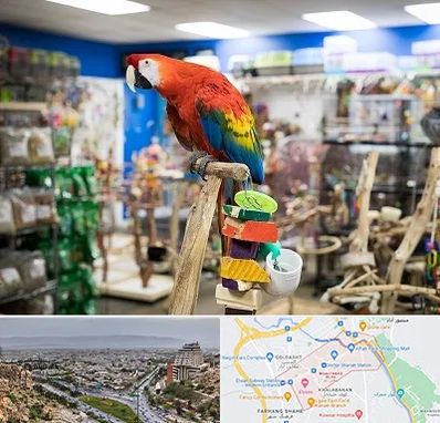 فروشگاه لوازم پرندگان در معالی آباد شیراز