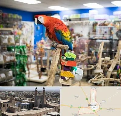 فروشگاه لوازم پرندگان در سبزوار