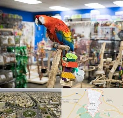 فروشگاه لوازم پرندگان در قزوین