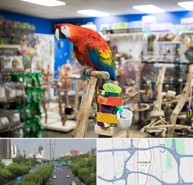 فروشگاه لوازم پرندگان در توانیر