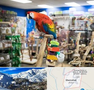 فروشگاه لوازم پرندگان در شمشک